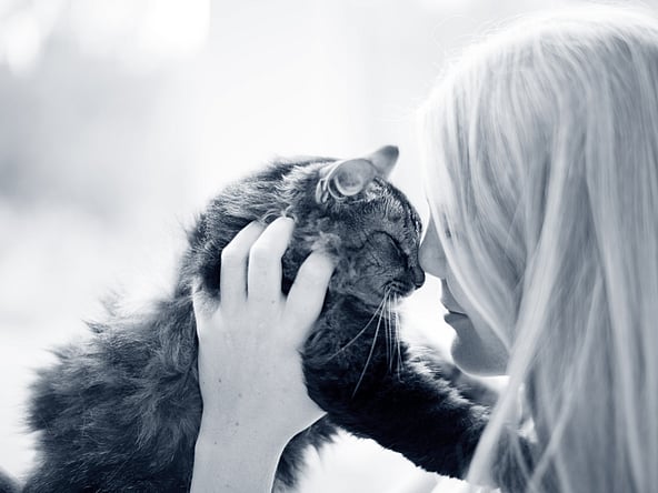 Una persona che tiene in braccio un gatto.