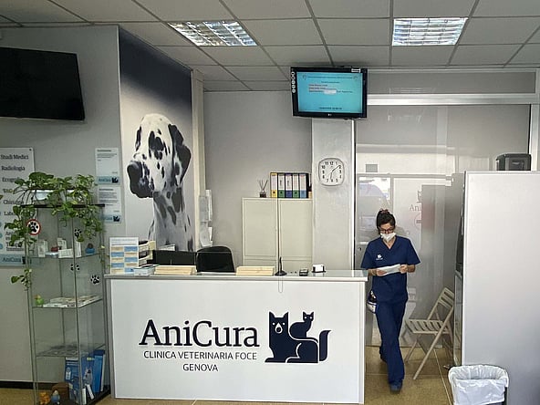 Una persona che indossa una maschera che cammina in un ricevimento.