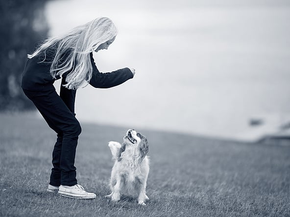 Una persona che gioca con un cane.