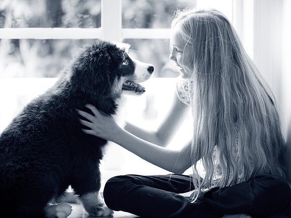 Un bambino che accarezza un cane.