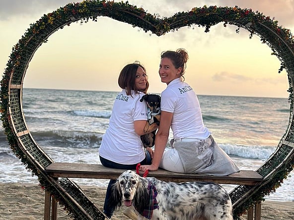 Due donne sedute su una panchina con cani sulla spiaggia.