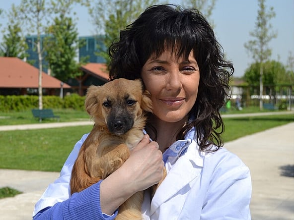 Una persona che tiene in braccio un cane.