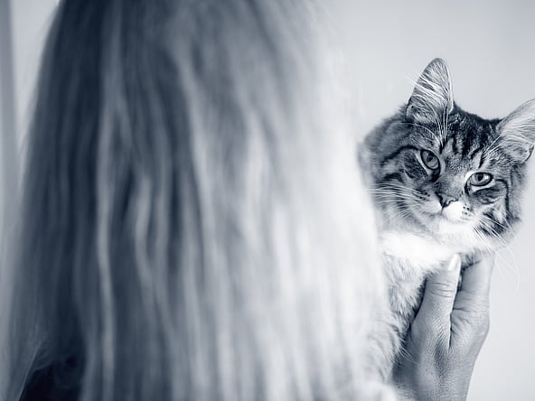 Una persona che tiene in braccio un gatto.