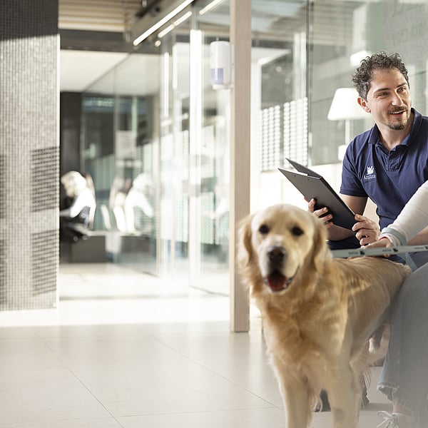 Una persona e una persona seduta su una panchina con un cane.