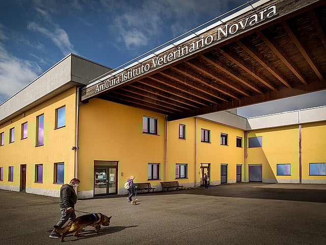 Una persona che porta a spasso un cane davanti a un edificio.