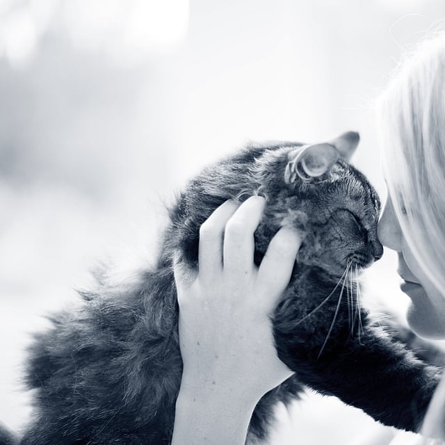 Una persona che tiene in braccio un gatto.