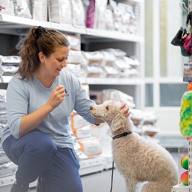 Una persona che accarezza un cane.