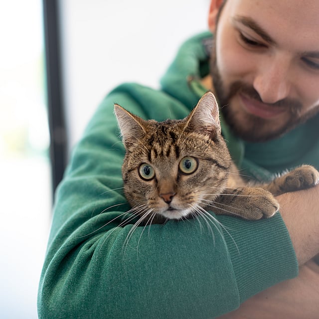 Una persona che tiene in braccio un gatto.