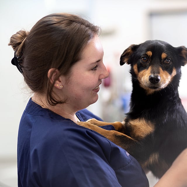 Una persona che tiene in braccio un cane.