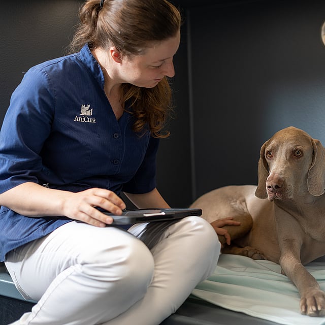 Una persona seduta su un letto con un cane.