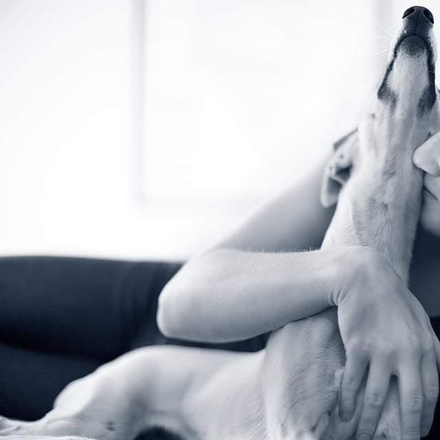 Una persona che tiene in braccio un cane.
