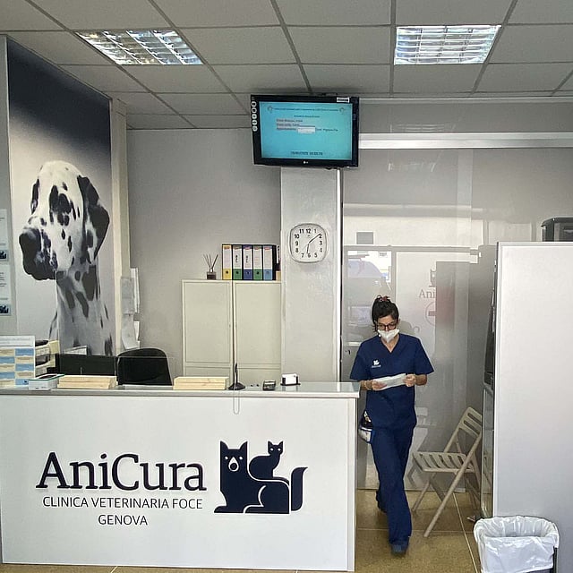 Una persona che indossa una maschera che cammina in un ricevimento.