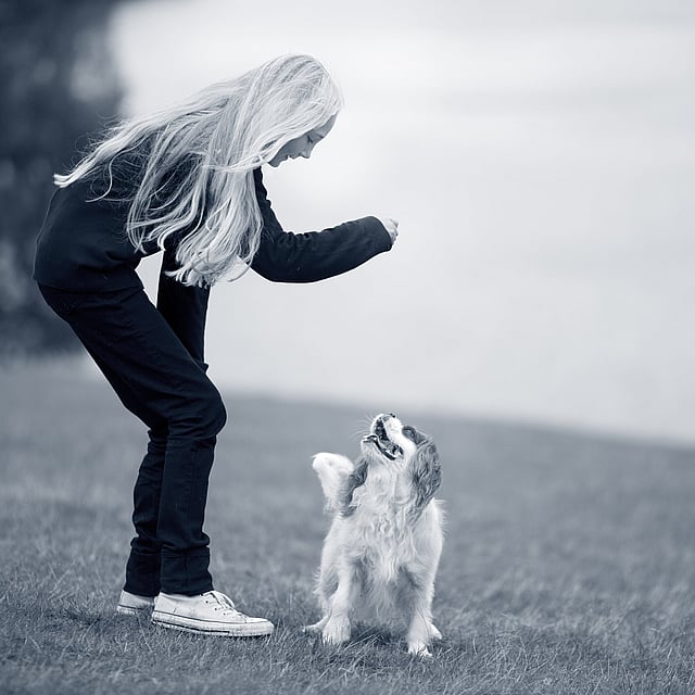 Una persona che gioca con un cane.