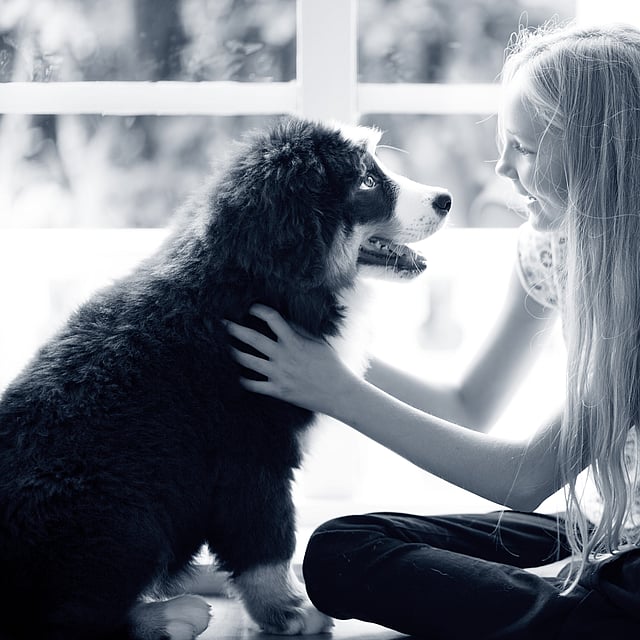 Un bambino che accarezza un cane.