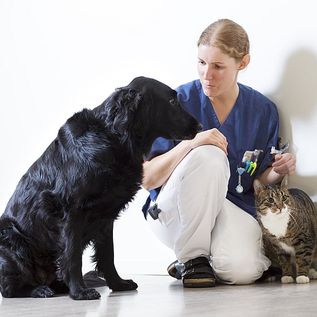 Una persona con un cane e un gatto.