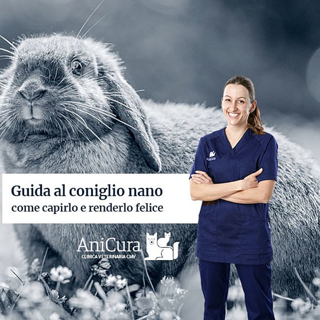 Una persona in camice blu in piedi davanti a un coniglio.