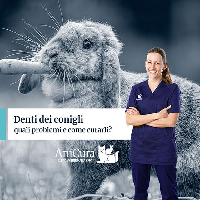 Una persona in camice blu che tiene una carota.