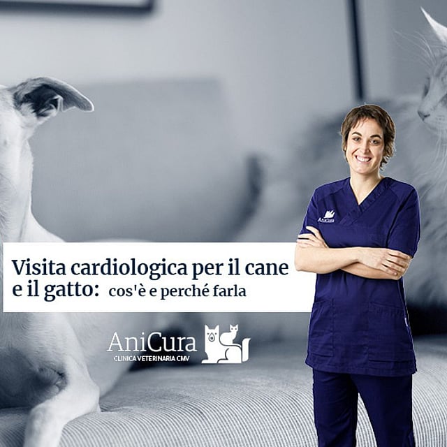 Una persona in camice blu in piedi accanto a un cane.