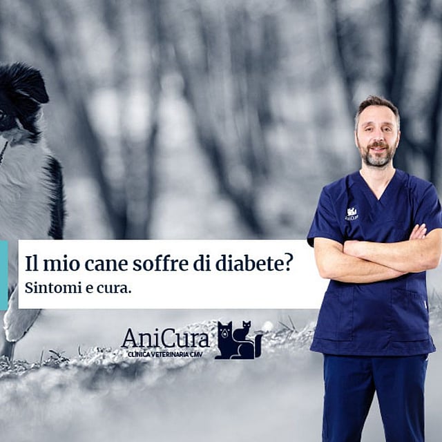 Una persona in camice blu in piedi davanti a un cane.