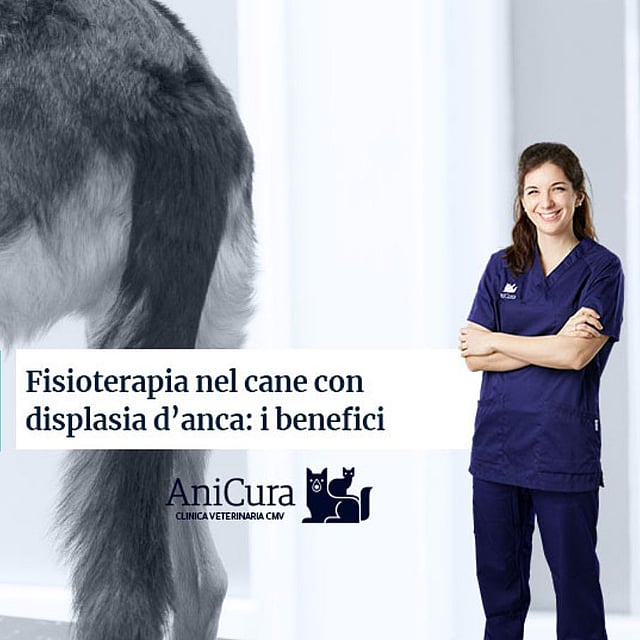 Una persona in camice blu in piedi accanto a un cane.