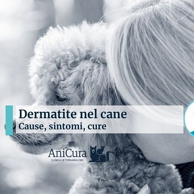 Una persona che bacia un cane.