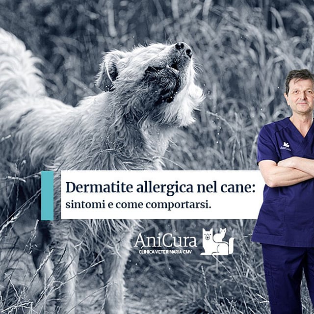 Una persona in piedi di fronte a un cane.