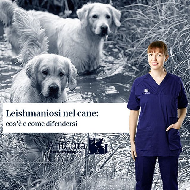 Una persona in piedi davanti a un poster con cani.