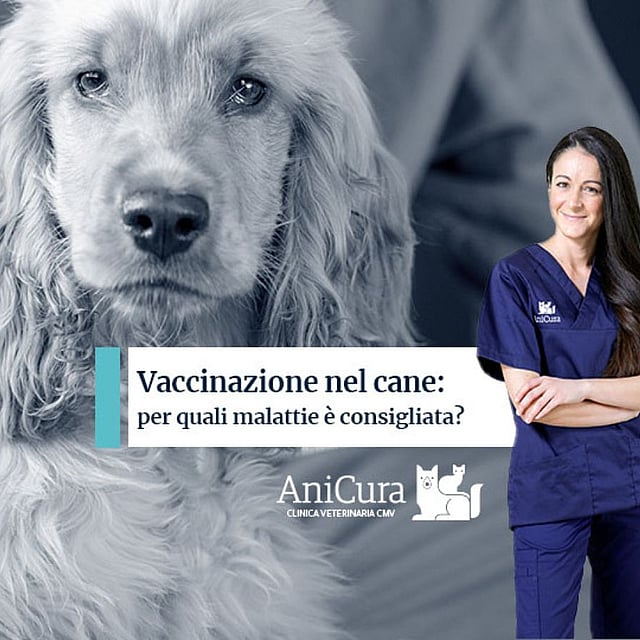 Una persona in camice blu in piedi accanto a un cane.