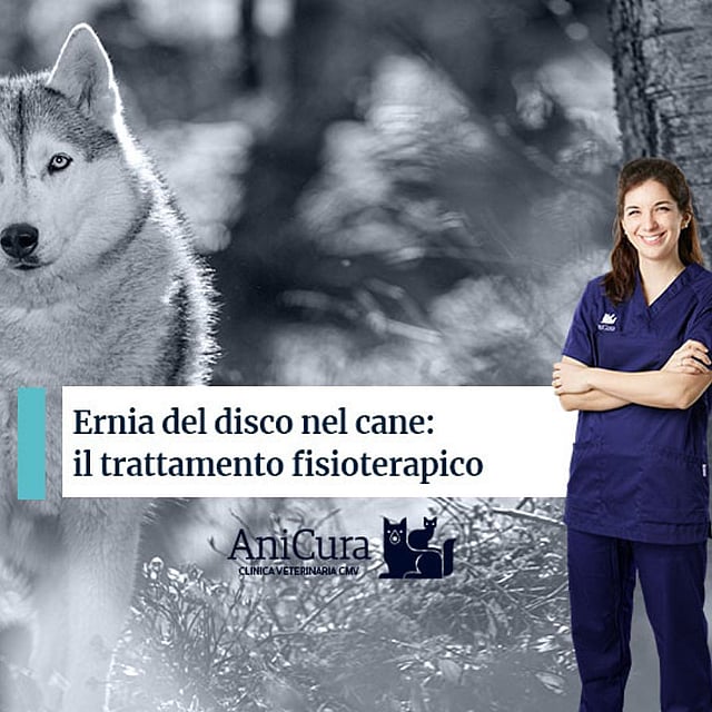 Una persona in piedi accanto a un cane.