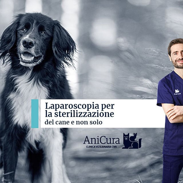 Una persona in camice blu in piedi accanto a un cane.