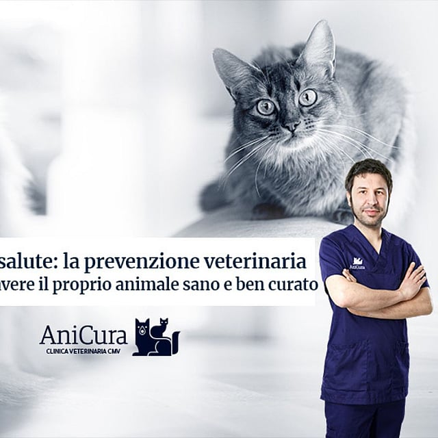 Una persona in scrub in piedi davanti a un gatto e un cane.
