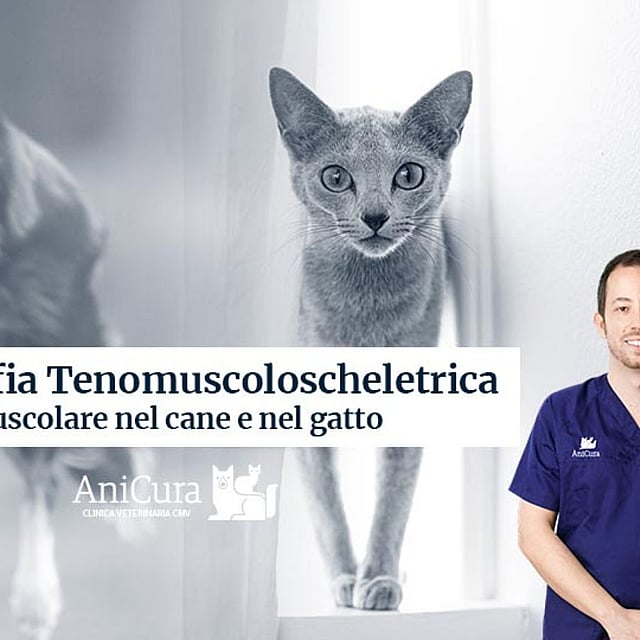 Una persona in piedi accanto a un gatto e un cane.