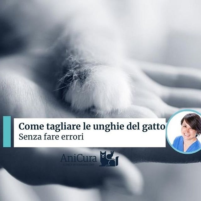 Un primo piano di una mano.