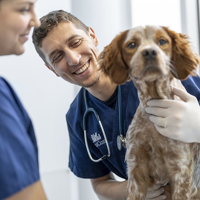 Una persona e una persona che tiene in braccio un cane.
