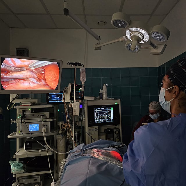 Una persona in camice chirurgico e maschera che guarda un monitor.