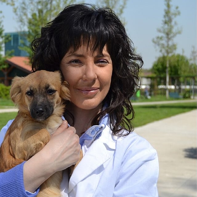 Una persona che tiene in braccio un cane.