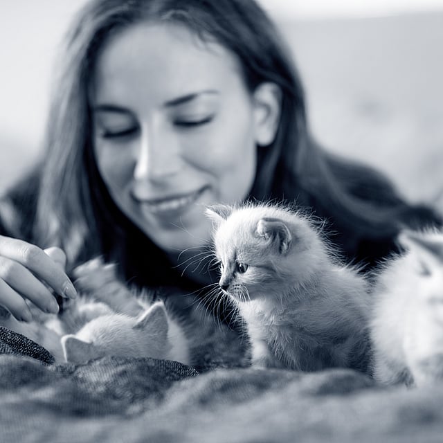 Una persona che accarezza i gattini.