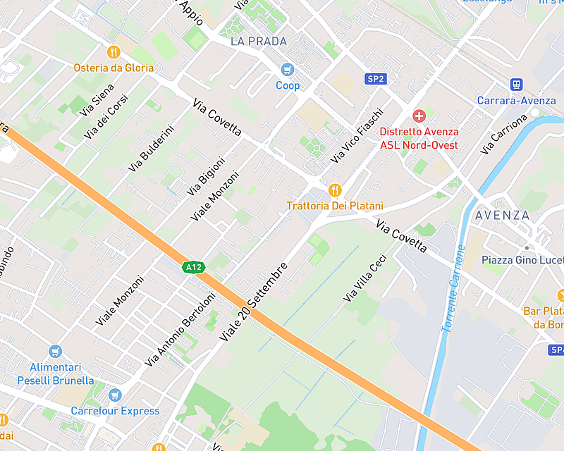 Una mappa che mostra la posizione di Clinica Veterinaria Apuana
