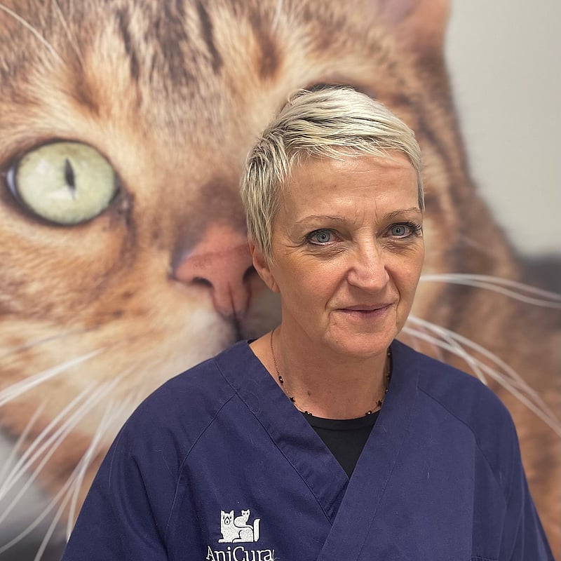 Foto di Dott.ssa Giulia Battimelli, Medico Veterinario