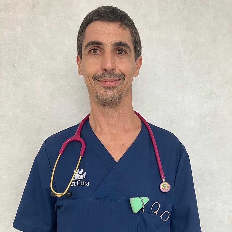 Foto di Dott. Mattia Ghirardo, Medico Veterinario