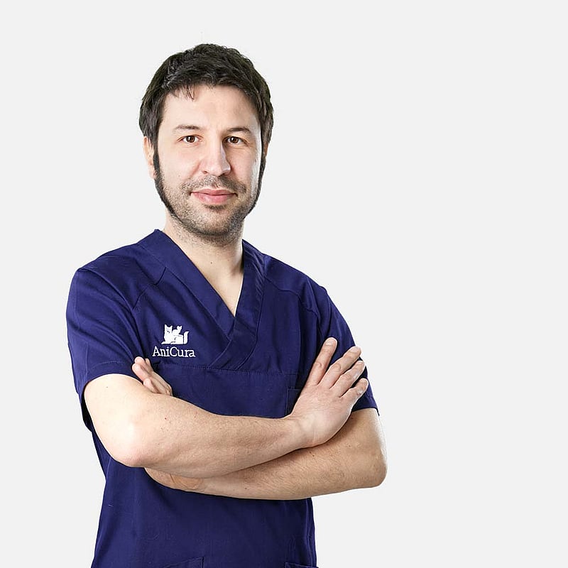 Foto di Dott. Gabriele Giuliani, Medico Veterinario