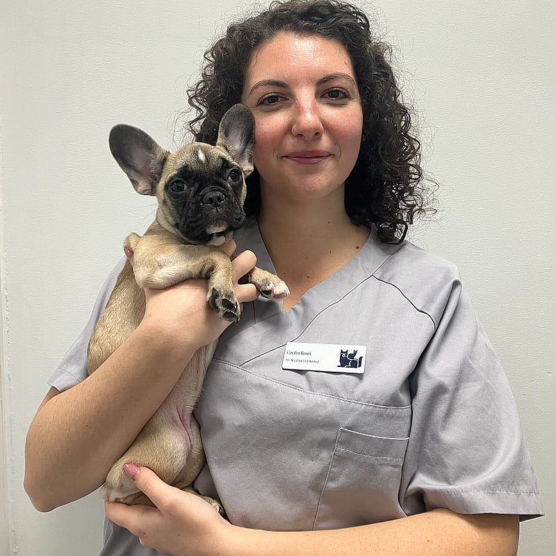 Foto di Cecilia Rossi, Tecnico Veterinario