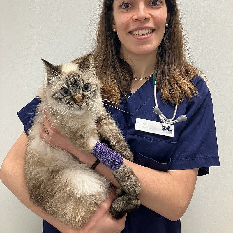 Foto di Dott.ssa Alice Buffoni, Medico Veterinario