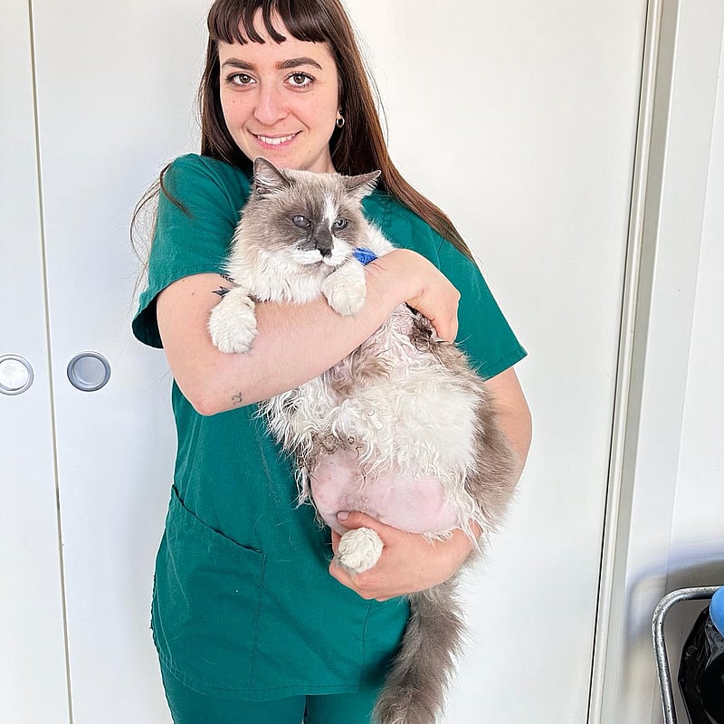Foto di Marika Mincone, Tecnico Veterinario