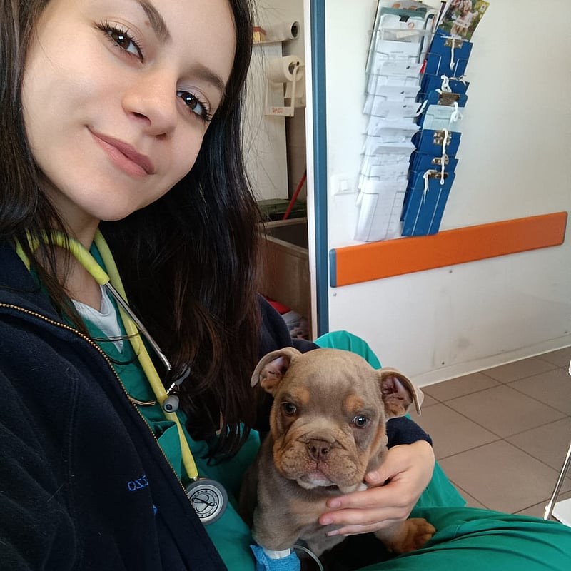 Foto di Laura Vander, Tecnico Veterinario