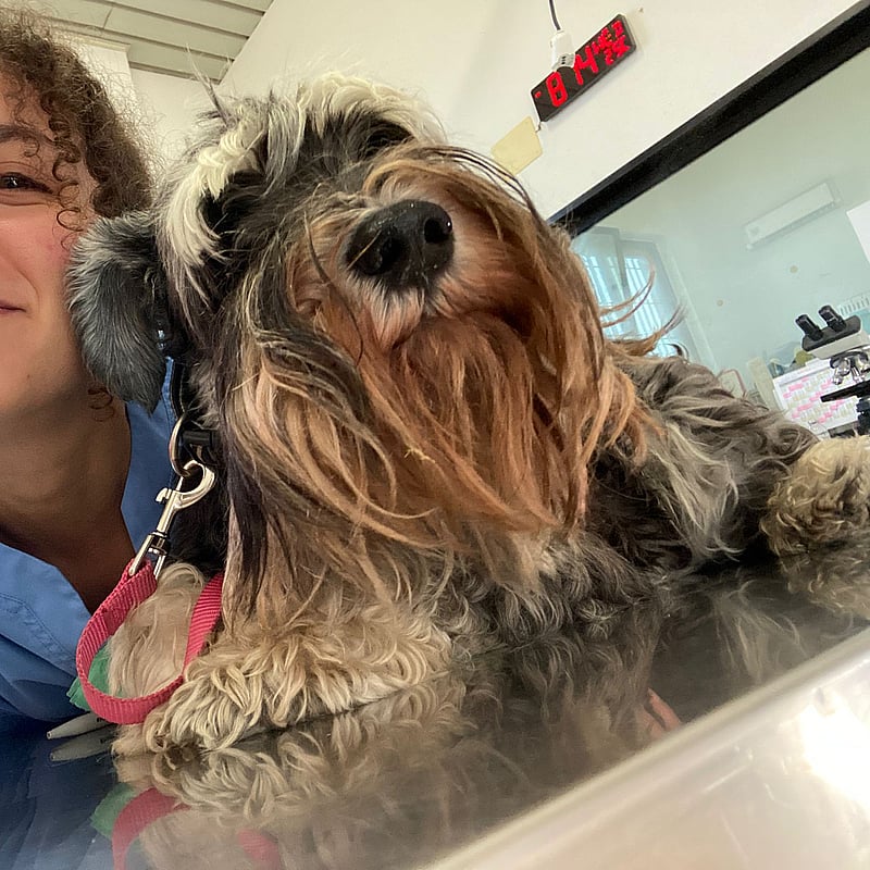 Foto di Camilla Lista, Tecnico Veterinario