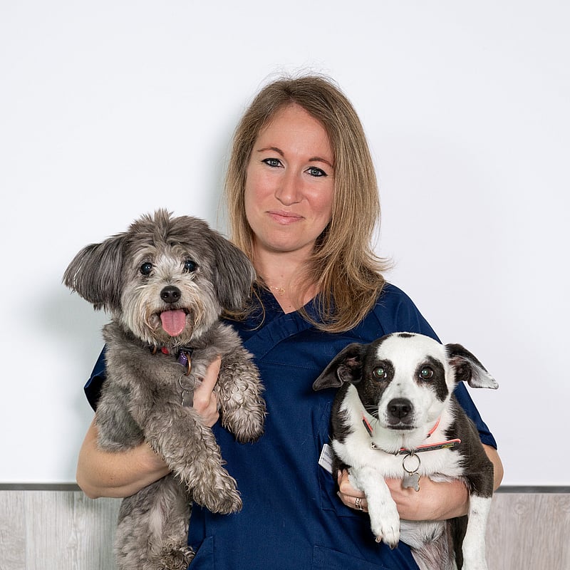 Foto di Dott.ssa Anna Gasparello, Medico Veterinario