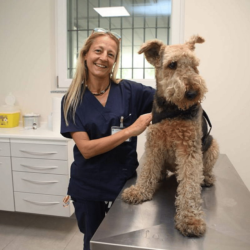 Foto di Dott.ssa Pogliani Elena, Medico Veterinario