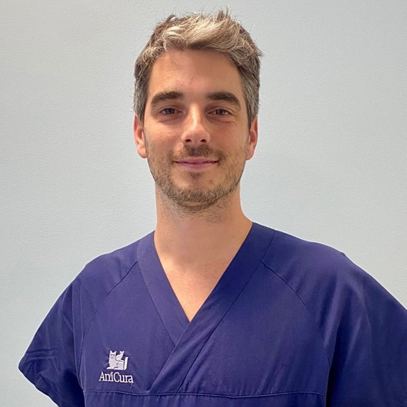 Foto di Dott. Locatelli Alessandro, Medico Veterinario