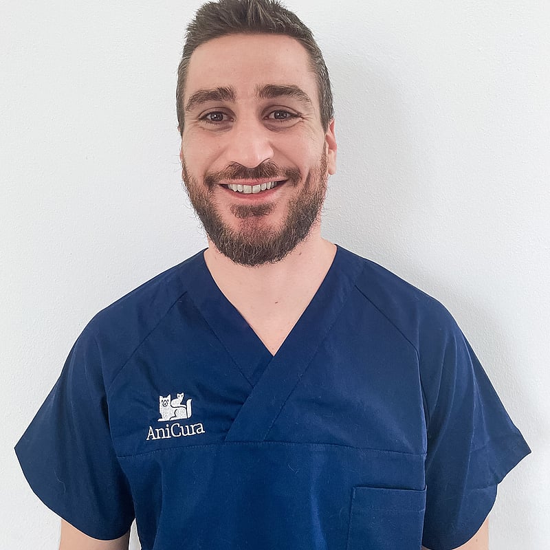 Foto di Dott. Nicola Boldrini, Medico Veterinario